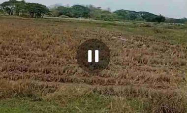 Venta de Terreno en Buijo, Samborondón, cerca de Barranca Grande