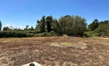 Arriendo linda y luminosa casa 3D2B en sector Chillinhue Alto