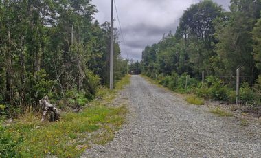PARCELA, ILQUE, CALBUCO