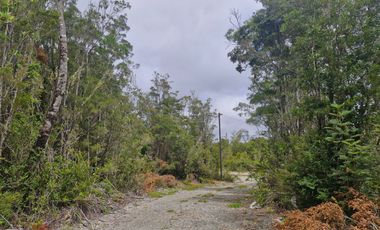 PARCELA, ILQUE, CALBUCO