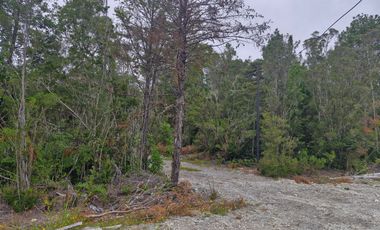 PARCELA, ILQUE, CALBUCO