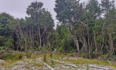 PARCELA, ILQUE, CALBUCO