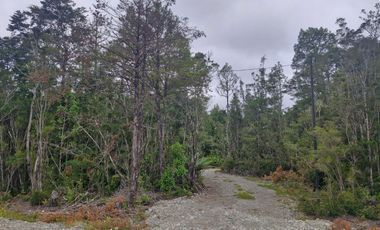 PARCELA, ILQUE, CALBUCO