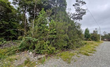 PARCELA, ILQUE, CALBUCO