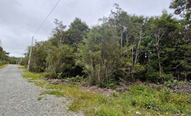 PARCELA, ILQUE, CALBUCO