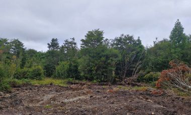 PARCELA, ILQUE, CALBUCO