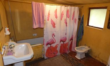 SE VENDE¡¡Terreno en Ruta I-45 Isla Briones, 8192 mts cuadrados con casa construida.