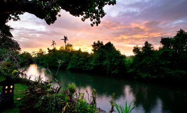 Disewakan Villa pinggir pantai di Canggu Bali.
