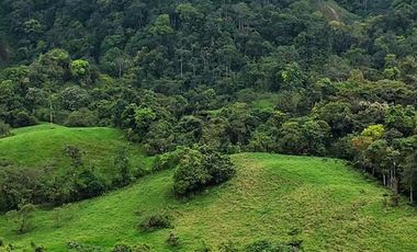 Venta de terreno urbanizado de 10,000 m2 , en Pedro Vicente Maldonado. Pichcincha . Ecuador.