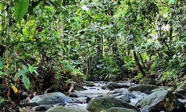 Venta de terreno urbanizado de 10,000 m2 , en Pedro Vicente Maldonado. Pichcincha . Ecuador.