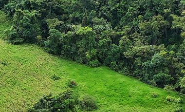 Venta de terreno urbanizado de 10,000 m2 , en Pedro Vicente Maldonado. Pichcincha . Ecuador.
