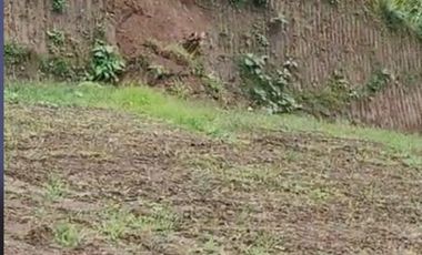 Venta de terreno urbanizado de 10,000 m2 , en Pedro Vicente Maldonado. Pichcincha . Ecuador.