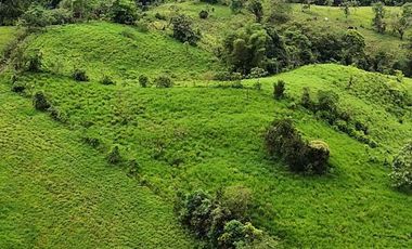Venta de terreno urbanizado de 10,000 m2 , en Pedro Vicente Maldonado. Pichcincha . Ecuador.
