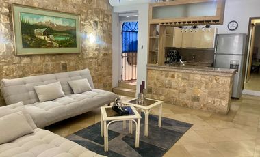 PLANTA BAJA SUITE AMOBLADA!!