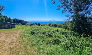 Parcela en Venta con Vista al Lago Ranco en Quillaico | Alta Plusvalía a Minutos de la Playa