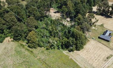 Se Vende Parcela con Bosque Nativo y Estero, Santa Rosa, Paillaco, Región de Los Ríos.