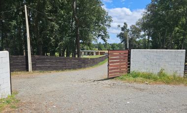 Se Vende Parcela con Bosque Nativo y Estero, Santa Rosa, Paillaco, Región de Los Ríos.