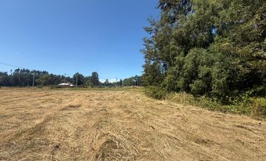 Se Vende Parcela con Bosque Nativo y Estero, Santa Rosa, Paillaco, Región de Los Ríos.