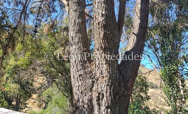 Leon Propiedades venda Gran sitio con casa en Avenida O’Higgins, Curacaví centro.
