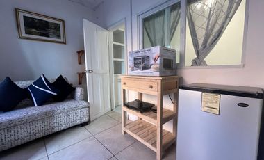 RENTO DEPARTAMENTO AMUEBLADO CENTRICO 1ER PISO EN SAN MIGUEL DE ALLENDE, MAXIMO UNA PERSONA, SIN MASCOTAS
