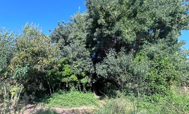 🌿 VENTA DE PARCELA 1,3 HECTÁREAS – SECTOR CULIPRÁN, MELIPILLA 🌿