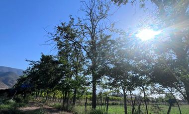 🌿 VENTA DE PARCELA 1,3 HECTÁREAS – SECTOR CULIPRÁN, MELIPILLA 🌿