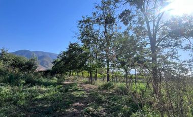 🌿 VENTA DE PARCELA 1,3 HECTÁREAS – SECTOR CULIPRÁN, MELIPILLA 🌿