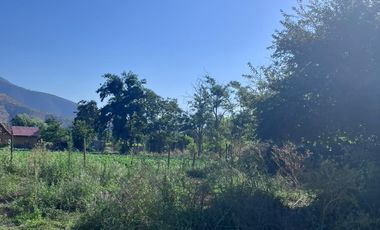 🌿 VENTA DE PARCELA 1,3 HECTÁREAS – SECTOR CULIPRÁN, MELIPILLA 🌿