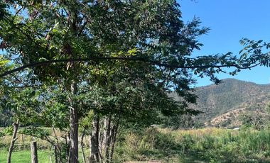 🌿 VENTA DE PARCELA 1,3 HECTÁREAS – SECTOR CULIPRÁN, MELIPILLA 🌿