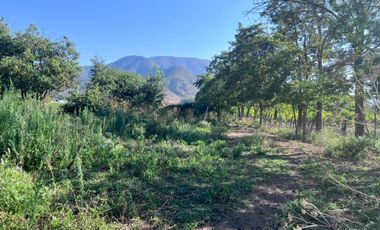 🌿 VENTA DE PARCELA 1,3 HECTÁREAS – SECTOR CULIPRÁN, MELIPILLA 🌿