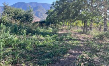 🌿 VENTA DE PARCELA 1,3 HECTÁREAS – SECTOR CULIPRÁN, MELIPILLA 🌿