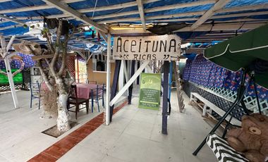 Venta parcela C Olivos en canto del agua Huasco