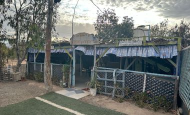 Venta parcela C Olivos en canto del agua Huasco