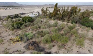 Venta parcela C Olivos en canto del agua Huasco