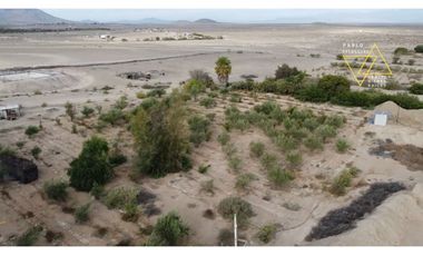 Venta parcela C Olivos en canto del agua Huasco