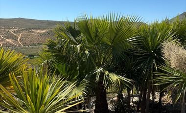 Casa en exclusico y consolidado condominio Tongoy, Bahía del Mar