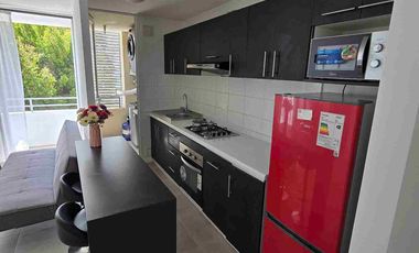 SE ARRIENDA DEPARTAMENTO AMOBLADO EN CONSTITUCIÓN