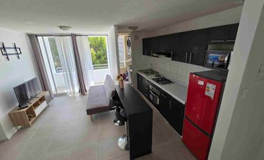 SE ARRIENDA DEPARTAMENTO AMOBLADO EN CONSTITUCIÓN