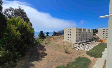 SE ARRIENDA DEPARTAMENTO AMOBLADO EN CONSTITUCIÓN