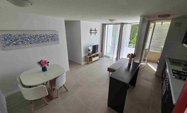 SE ARRIENDA DEPARTAMENTO AMOBLADO EN CONSTITUCIÓN