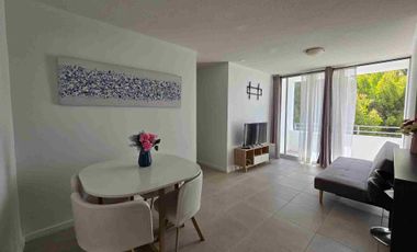 SE ARRIENDA DEPARTAMENTO AMOBLADO EN CONSTITUCIÓN