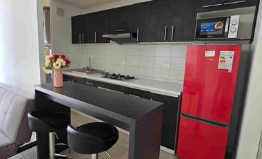 SE ARRIENDA DEPARTAMENTO AMOBLADO EN CONSTITUCIÓN