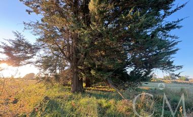 En venta linda parcela en Las Quemas en condominio consolidado