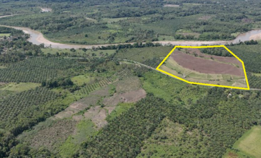 VENTA DE TERRENO AGRICOLA