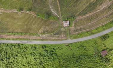 VENTA DE TERRENO AGRICOLA