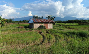 VENTA DE TERRENO AGRICOLA
