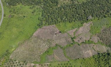 VENTA DE TERRENO AGRICOLA