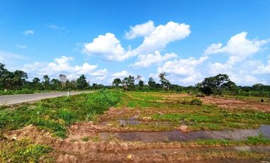 VENTA DE TERRENO AGRICOLA
