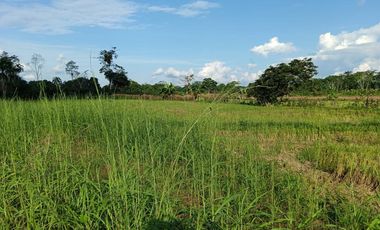 VENTA DE TERRENO AGRICOLA