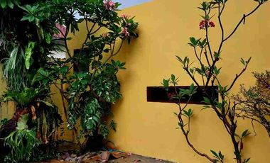 Jual Rumah Aesthetic Sukasari Bogor Timur Siap Huni Strategis | Tanah Luas Carport 4 Mobil Dekat Pusat Kota Bogor